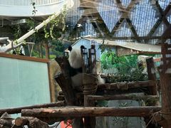 -青藏高原野生动物园