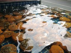 -西涌国际滨海旅游区