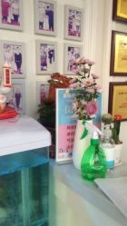 -香薇妮丝·定制减肥·身材管理