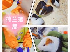 -怪兽屋·羊驼·猫咖·狗咖(俊华广场店)