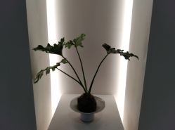 -颜蕾医美·黄金微针·水光·玻尿酸·超声炮·抗衰中心