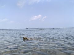 -海源公园