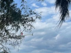 -三亚西岛海洋文化旅游区