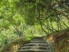 -广州白江湖森林公园