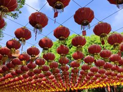 -皇罗禅寺