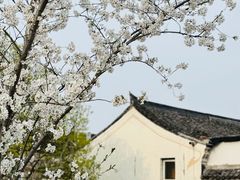 -东钱湖旅游度假区