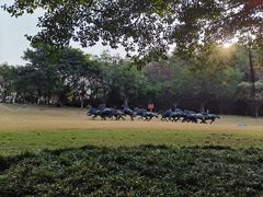-广州雕塑公园