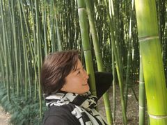 -苏州河梦清园环保主题公园