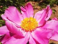 -长春公园(普阳街道)