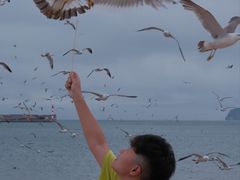 -海驴岛(荣成市)