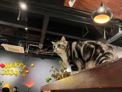 -咖法森林·咖啡  酒吧(天河店)