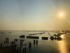 -宝安西湾红树林湿地公园