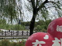 -上海鲜花港