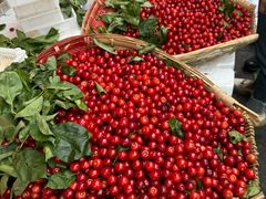 -南坛综合农贸市场