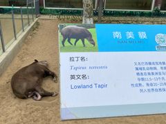 -西霞口神雕山野生动物世界