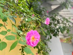 -颐和路民国时期公馆风貌区