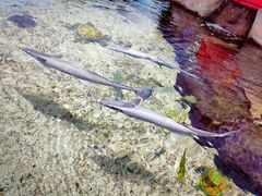 -鸿通城购物中心