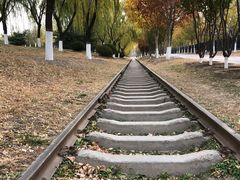 -永定河休闲森林公园