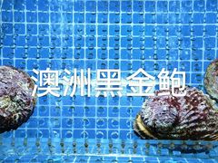 -观品和牛