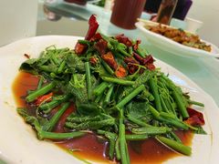 炝拌丝瓜尖-上庄晋风庄园(上庄店)