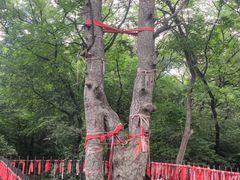 -北陵公园