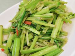 -苏启渔港(云南北路店)