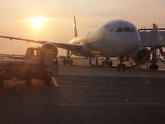 -上海浦东国际机场-T2航站楼