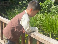 -凤凰山斑鱼馆(恭城店)