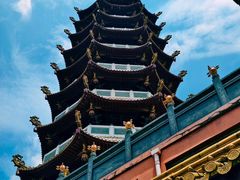 -仙岳公园