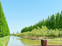 -黄海国家森林公园