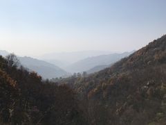 -空中草原