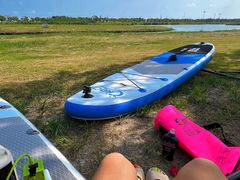 -春花秋色城市公园