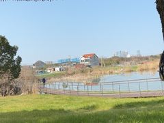 -贡湖湾湿地公园