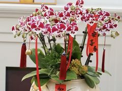 -F.Story 花和故事(新天地店)