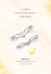 -周生生Chow Sang Sang(石家庄先天下店)