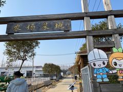 -上海长兴岛郊野公园