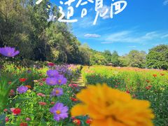 -萨尔浒风景区