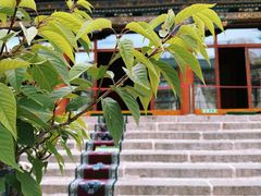 -西宁市东关清真大寺