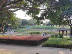 -天河儿童公园