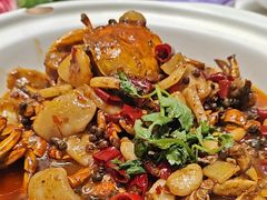 -刘胖子家常菜·蹄花焖藕(中南店)