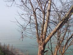 -美心红酒小镇游乐园