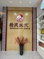 -岳灵生发养发馆