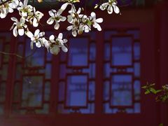 -大钟寺古钟博物馆