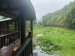 -悦禧耕岛酒店·指月坞餐厅·旺山特色农家乐