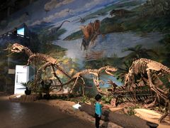 -自贡恐龙博物馆
