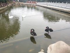 -万佛湖风景区