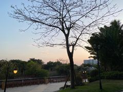 -碧桂园十里银滩