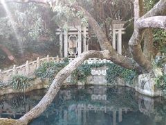 -蝴蝶泉公园