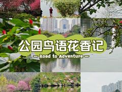 -重庆彩云湖湿地公园