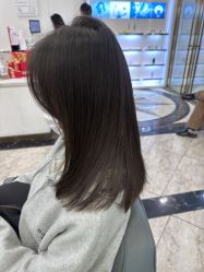 -YESIDO椰岛造型